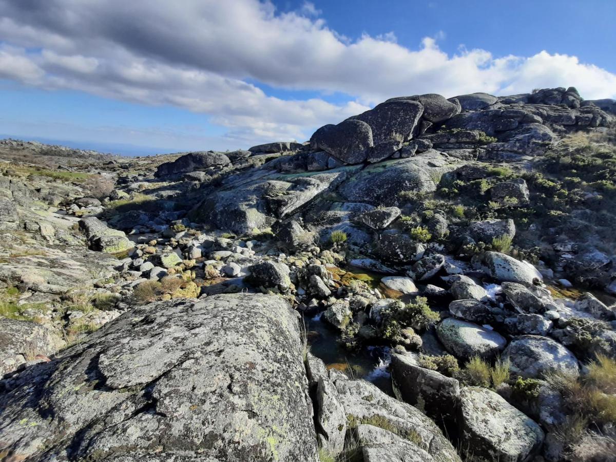 Casa Da Bela Vista - Serra Da Estrela Covilhã Eksteriør billede