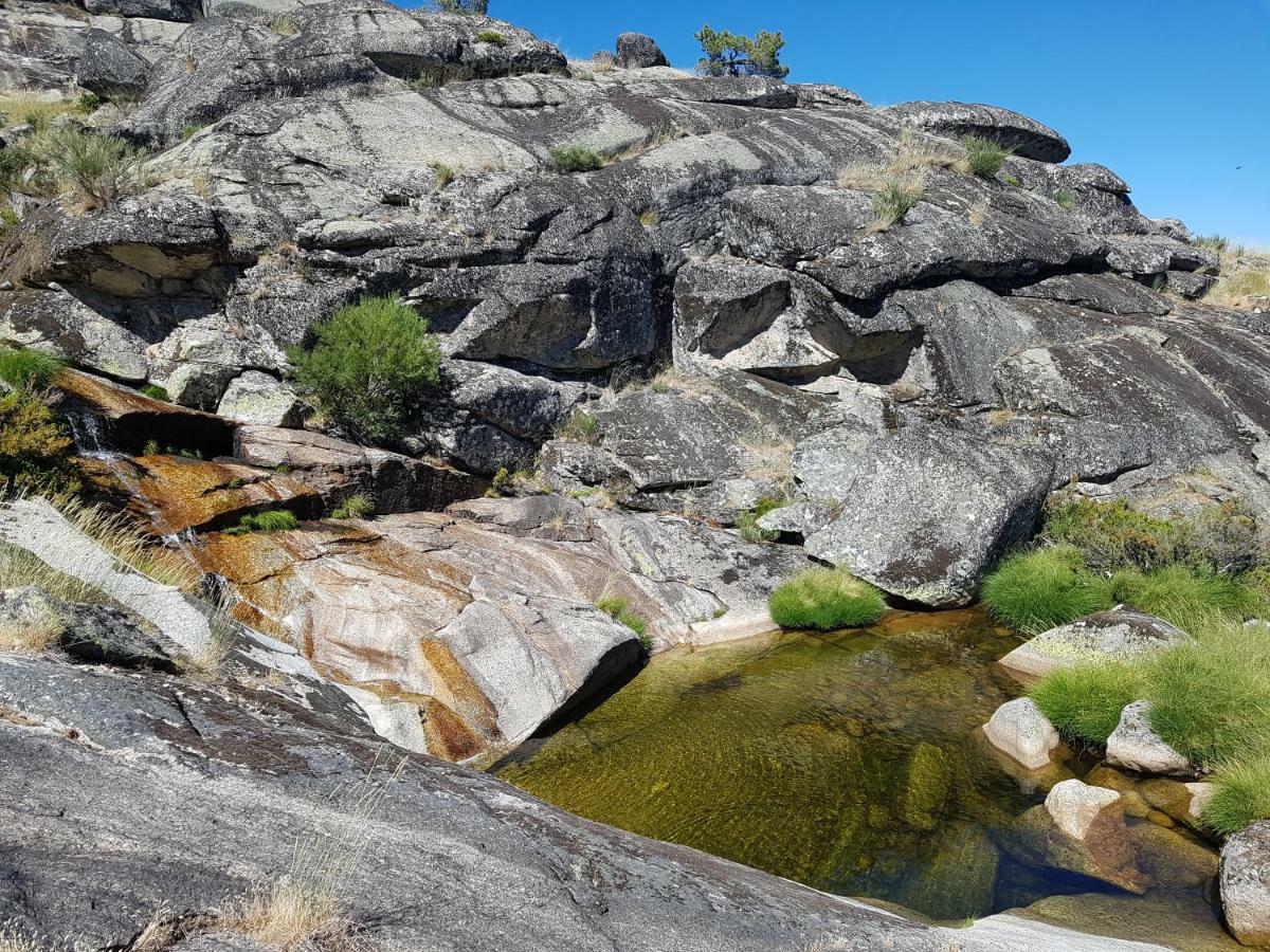Casa Da Bela Vista - Serra Da Estrela Covilhã Eksteriør billede