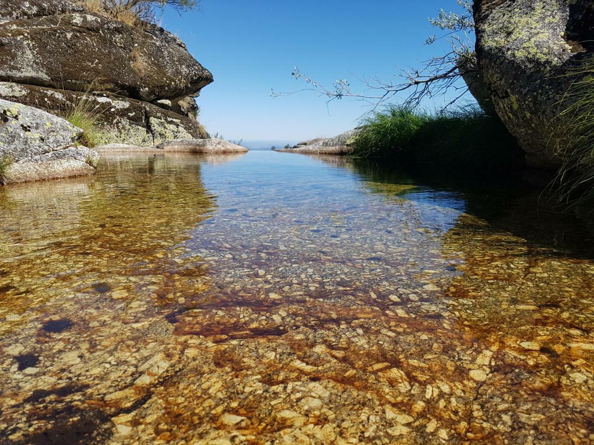 Casa Da Bela Vista - Serra Da Estrela Covilhã Eksteriør billede